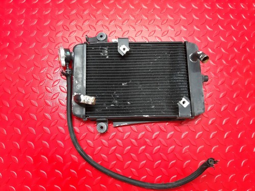 Radiatore acqua honda 300 - radiatore,