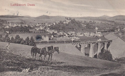 Daun 1910 - daun,