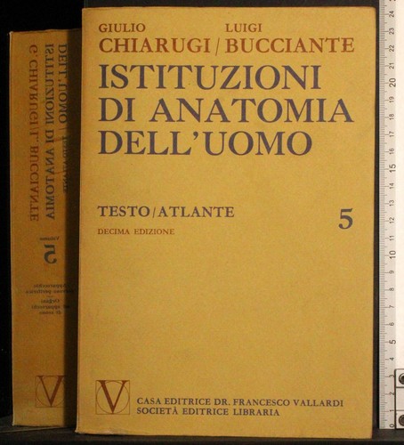Istituzioni anatomia - di,