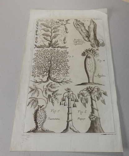 Stampa antica 1696 - , di