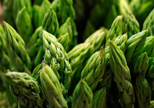 Asparagi verdi mary washington - verdi,