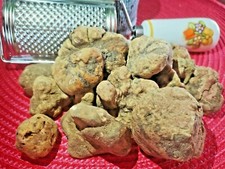 TARTUFO BIANCO FRESCO ITALIA