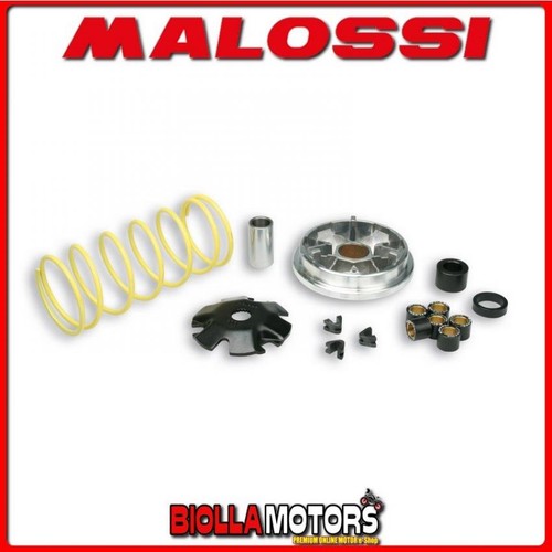 517081 variatore malossi - 517081,
