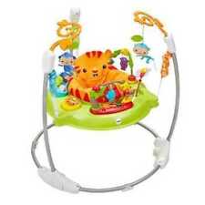 Mattel Mattel Fisher-Price DTD91 Rainforest Jumperoo 2