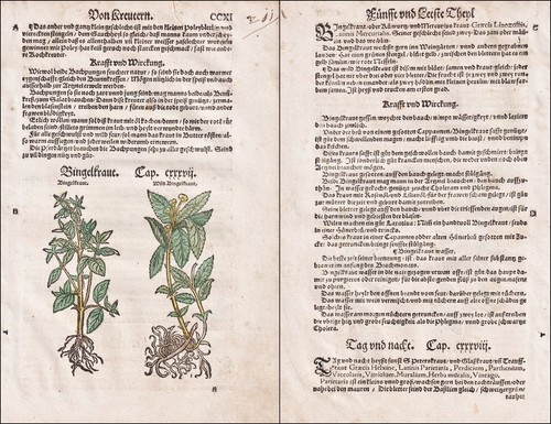 Bingelkraut erbe libro - bingelkraut, di