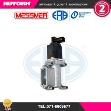 555029 Exhaust Gas