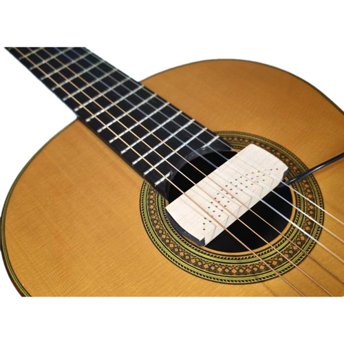 Johnny eleca pickup soundhole - johnny,
