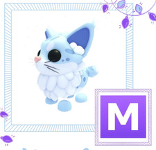 Summer Festival | Mega Maine