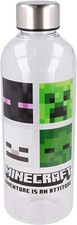 Minecraft Bottiglia a