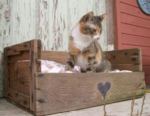 Cuccia divanetto per gatto