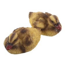  Decorazioni Piscina Accessori