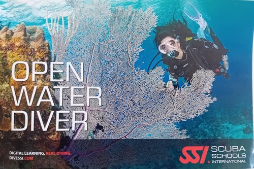 Open water diver - water, schools