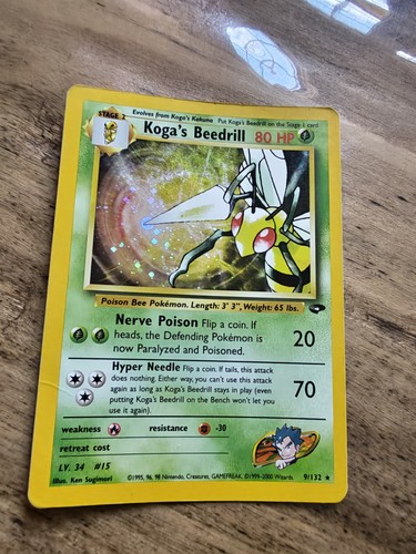 Carta pokemon gym - pokemon,
