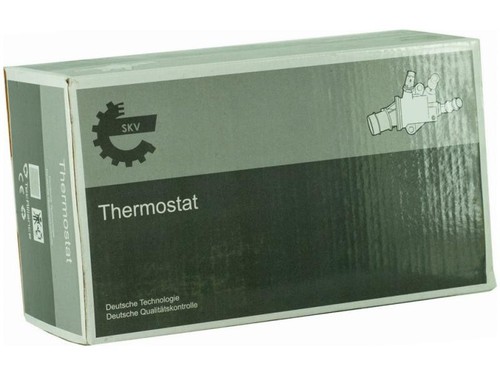 Termostato per citroen - termostato,