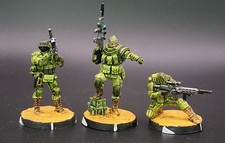 USA Duty Paid dipinto Tartary