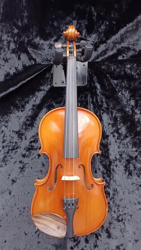 Eastman vl80 violino acustico - vl80,