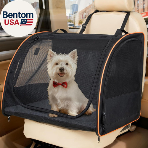 Seggiolino auto per - per, cani