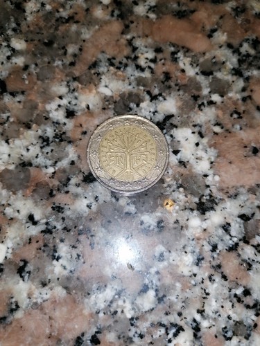 Moneta molto rara - 2 euro,