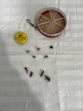 9 mosche pesca a mosca 6