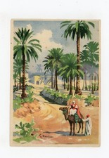 Cartolina oasi di Tripoli - S
