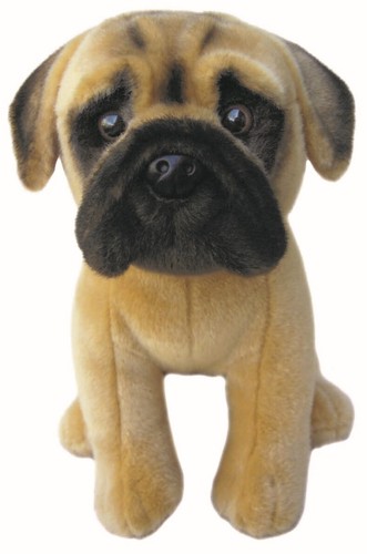 Orsacchiotto bullmastiff - bullmastiff, 12"