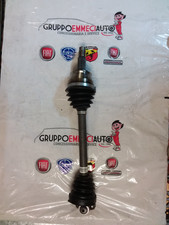 51787180 - SEMIALBERO