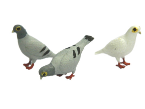Piccione 3x1x1 2h - piccione, 3x1x1,5/2h
