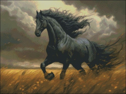 Cavallo nero nel - nel, campo