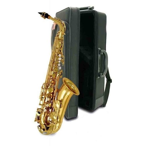 Sassofono contralto standard