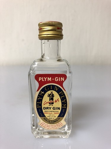 Mignon miniature stock plym - mignon,