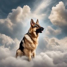 2 adesivi auto cane pastore