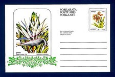 SOUTH AFRICA - VENDA - Cart. Post. - 1979 - "Dick Findlay '79":Strelitzia caudat