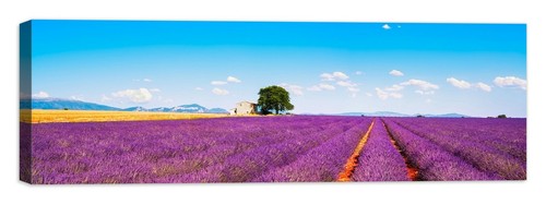 Paesaggio provenza quadro - provenza,