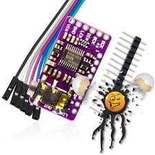 PCM5102A Raspberry ESP32