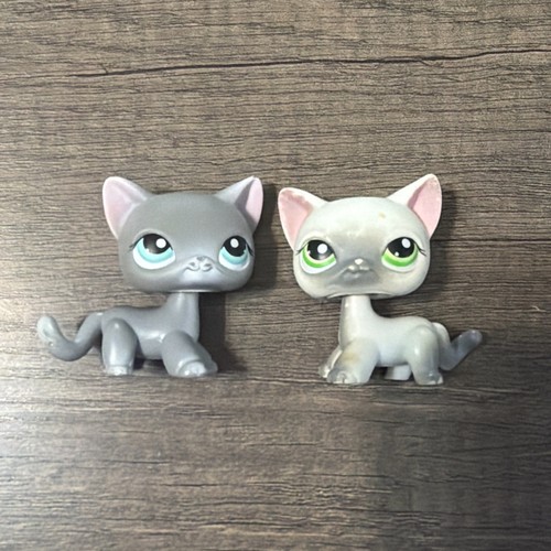 Littlest pet shop - shop, coppia
