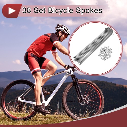 Set raggi bici - 13g, 205mm