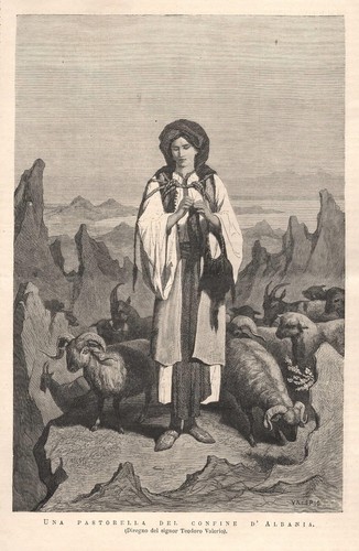 Stampa antica albania - stampa,