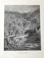 GUSTAVE DORE' 4 STAMPE Atala Chateaubriand Fiabe Fontaine 1875 Incisioni Doré!  