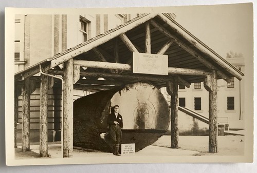 Rppc douglas fir - log, david