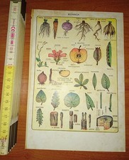 Stampa, Botanica (da libro