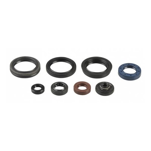 Serie paraoli motore completi - motore,