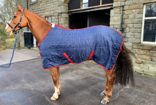 Tappeto cavallo pony stabile - cavallo/pony,