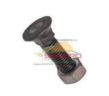 KIT 10 BULLONE per