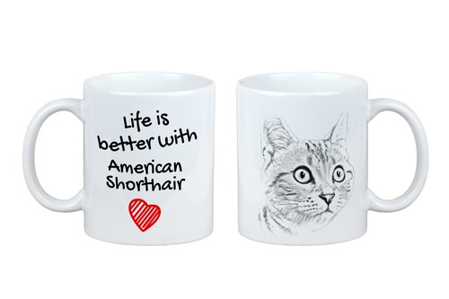 Tazza americano shorthair - shorthair, con