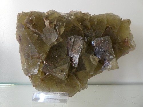 Fluorite grube cecilia - fluorite, di