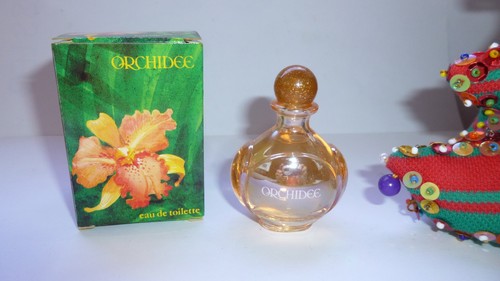 Rare miniature orchidee ml - orchidee, 15
