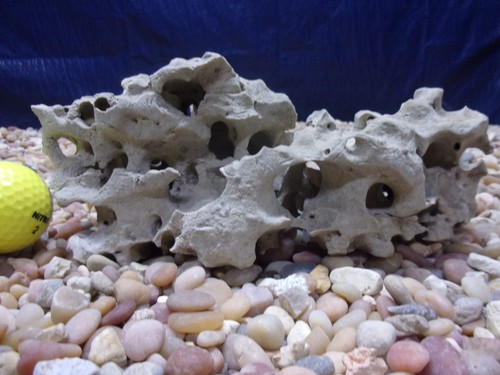 Texas holey rock - texas/tn,