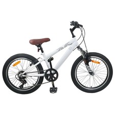 Mountain Bike 24 Pollici