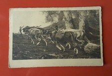 CARTOLINA NON VIAGGIATA FATICA