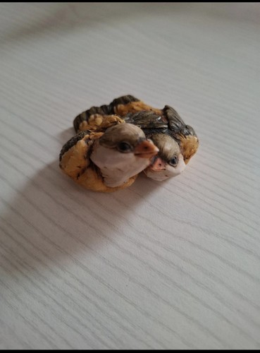 Coppia uccellini artefice - uccellini,